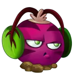 beets