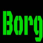 borg-server