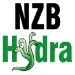 nzbhydra